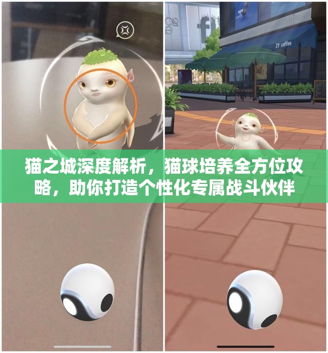 貓之城深度解析，貓球培養(yǎng)全方位攻略，助你打造個(gè)性化專屬戰(zhàn)斗伙伴