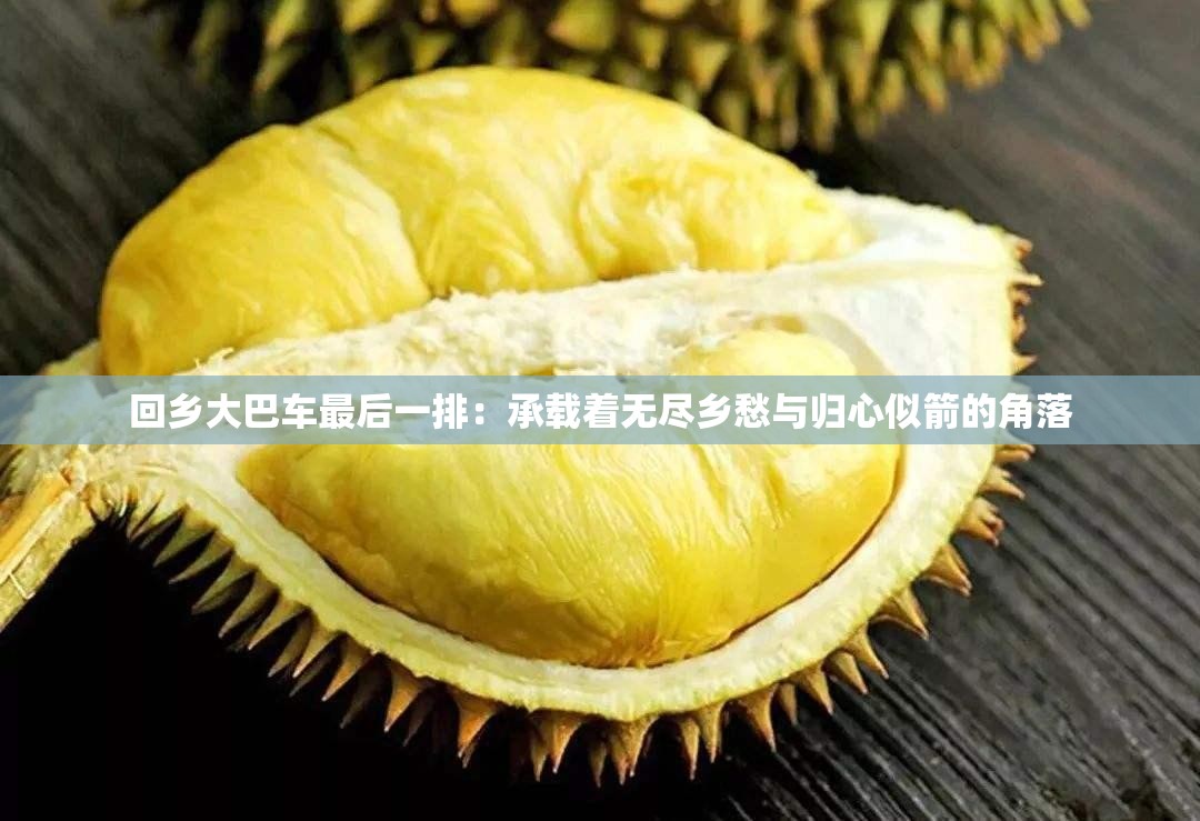 回鄉(xiāng)大巴車最后一排：承載著無(wú)盡鄉(xiāng)愁與歸心似箭的角落