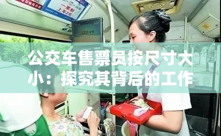 公交車售票員按尺寸大?。禾骄科浔澈蟮墓ぷ鳂?biāo)準(zhǔn)與規(guī)范