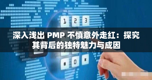 深入淺出 PMP 不慎意外走紅：探究其背后的獨特魅力與成因