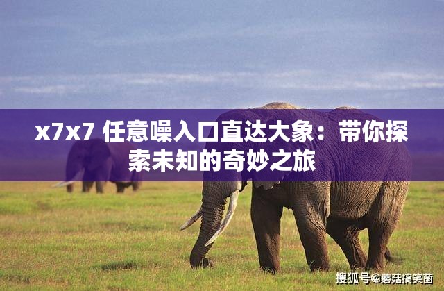 x7x7 任意噪入口直達大象：帶你探索未知的奇妙之旅
