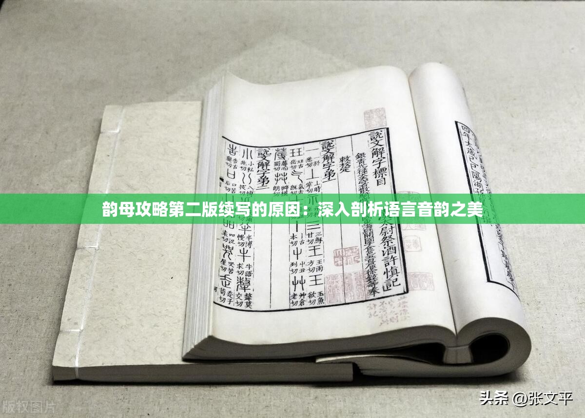 韻母攻略第二版續(xù)寫的原因：深入剖析語言音韻之美