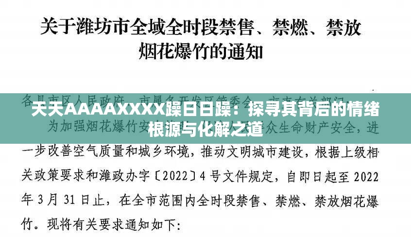 天天AAAAXXXX躁日日躁：探尋其背后的情緒根源與化解之道
