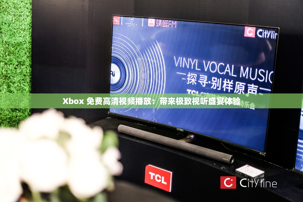 Xbox 免費高清視頻播放：帶來極致視聽盛宴體驗