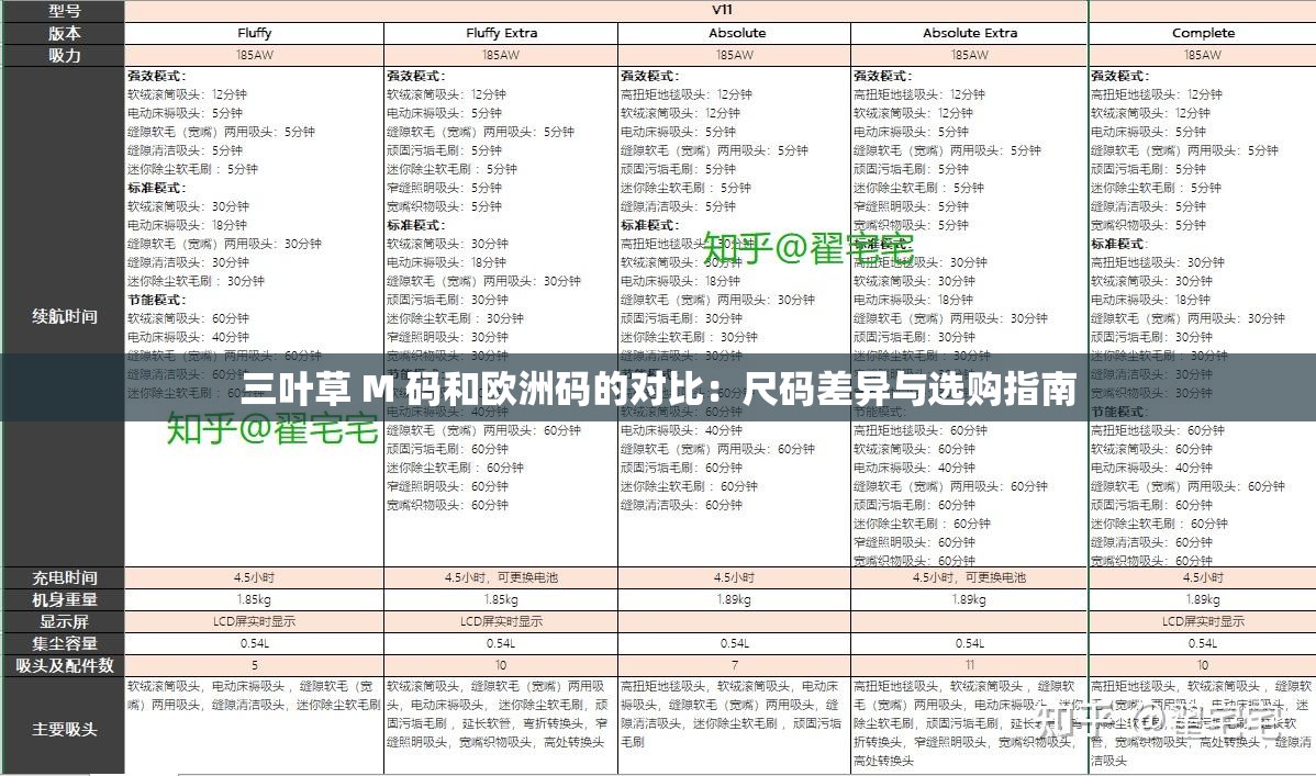 三葉草 M 碼和歐洲碼的對比：尺碼差異與選購指南