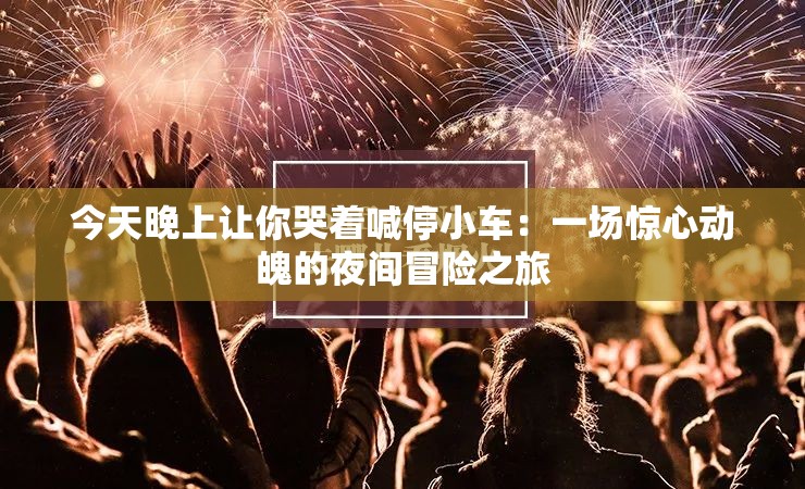 今天晚上讓你哭著喊停小車：一場(chǎng)驚心動(dòng)魄的夜間冒險(xiǎn)之旅