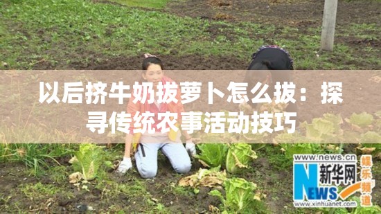 以后擠牛奶拔蘿卜怎么拔：探尋傳統(tǒng)農(nóng)事活動(dòng)技巧