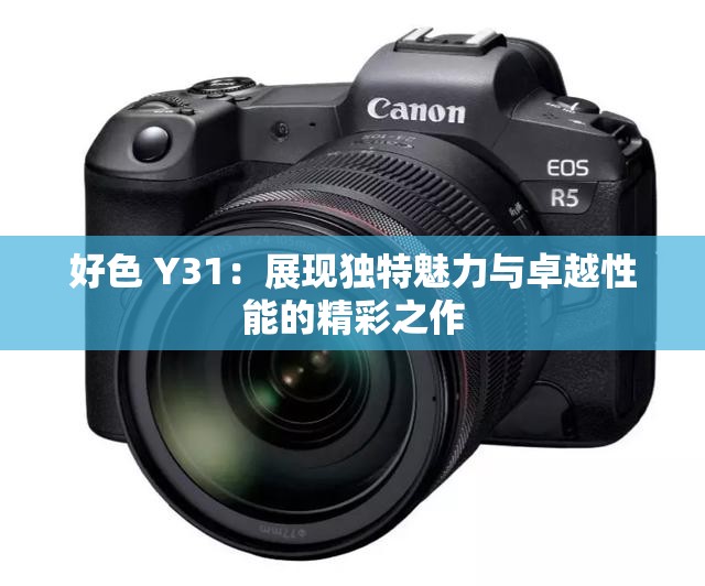 好色 Y31：展現(xiàn)獨特魅力與卓越性能的精彩之作