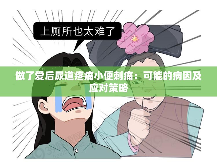 做了愛后尿道疼痛小便刺痛：可能的病因及應(yīng)對(duì)策略