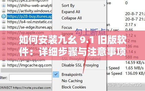 如何安裝九幺 9.1 舊版軟件：詳細步驟與注意事項
