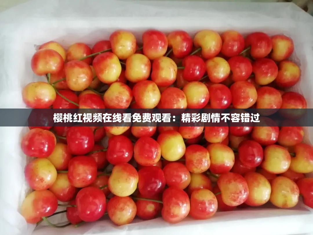 櫻桃紅視頻在線看免費觀看：精彩劇情不容錯過