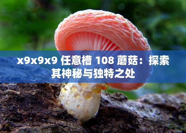 x9x9x9 任意槽 108 蘑菇：探索其神秘與獨(dú)特之處