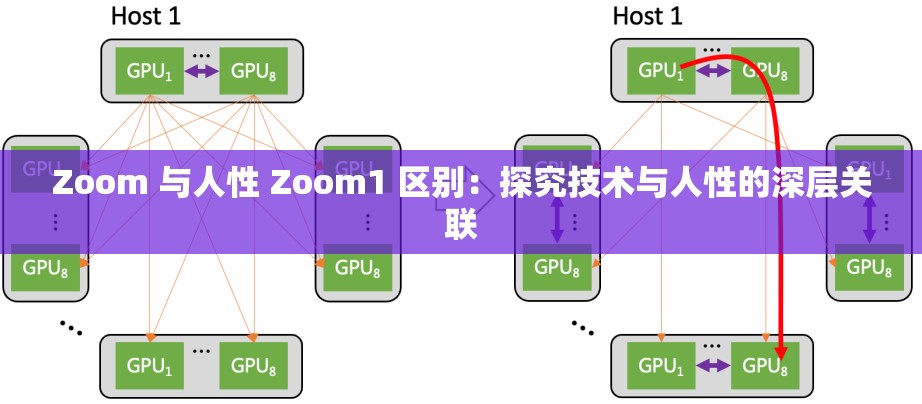Zoom 與人性 Zoom1 區(qū)別：探究技術(shù)與人性的深層關(guān)聯(lián)