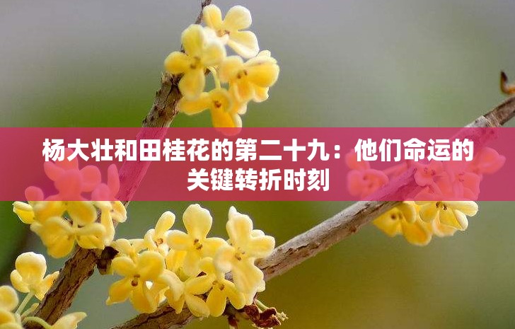 楊大壯和田桂花的第二十九：他們命運的關(guān)鍵轉(zhuǎn)折時刻