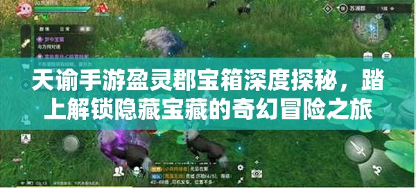 天諭手游盈靈郡寶箱深度探秘，踏上解鎖隱藏寶藏的奇幻冒險(xiǎn)之旅