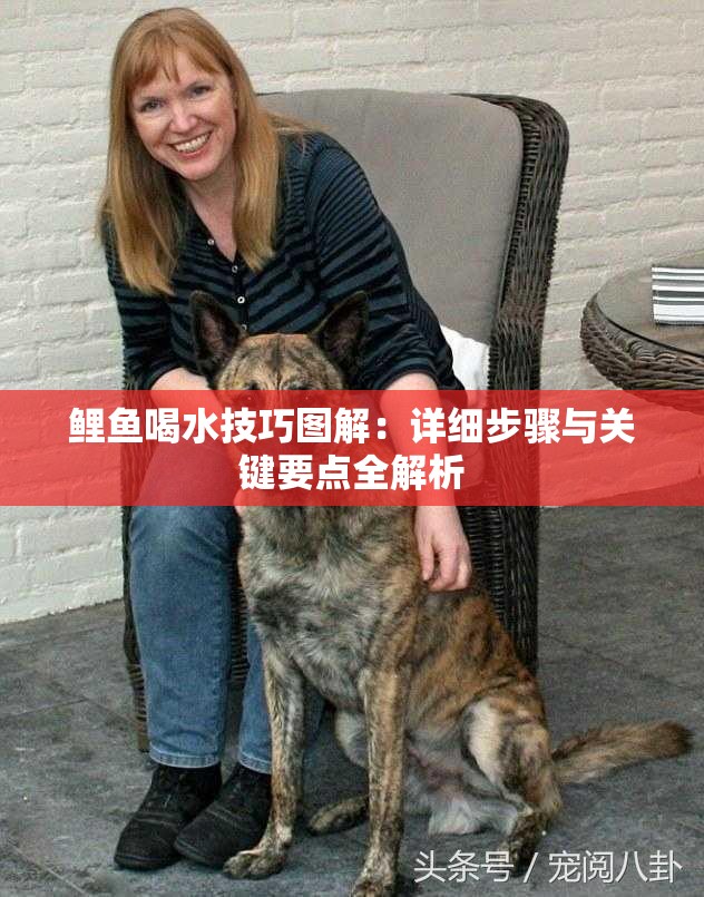 鯉魚喝水技巧圖解：詳細步驟與關鍵要點全解析