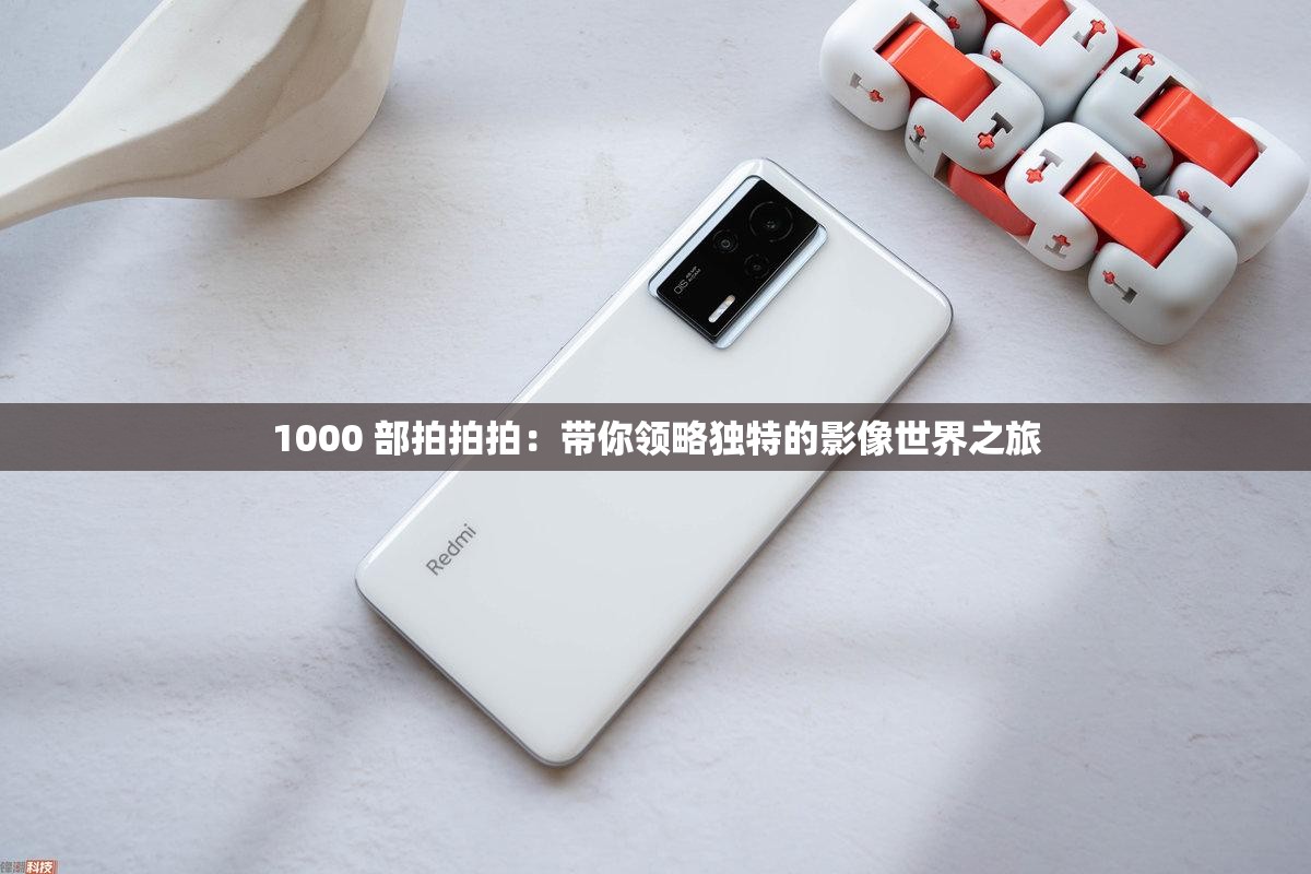 1000 部拍拍拍：帶你領略獨特的影像世界之旅