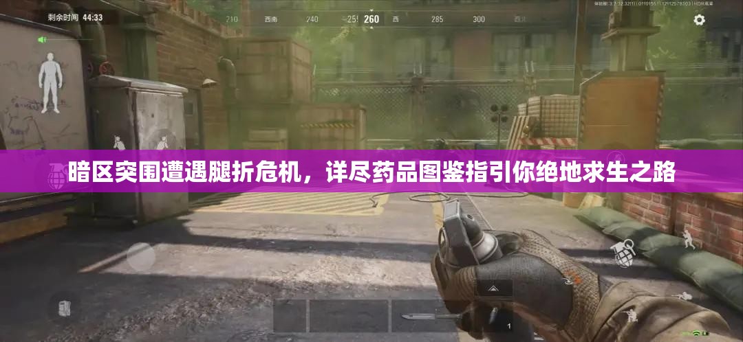 暗區(qū)突圍遭遇腿折危機(jī)，詳盡藥品圖鑒指引你絕地求生之路