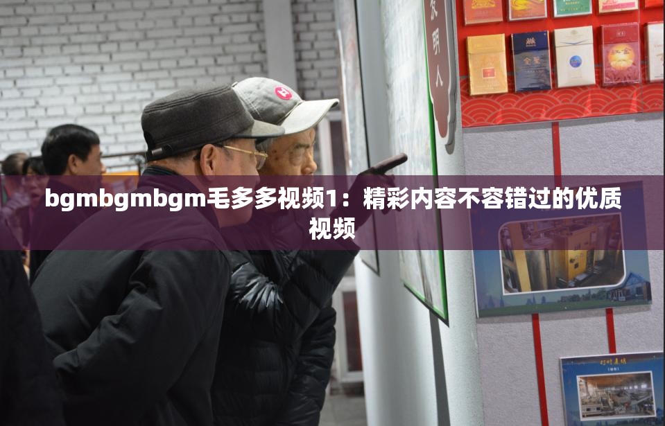 bgmbgmbgm毛多多視頻1：精彩內(nèi)容不容錯過的優(yōu)質視頻