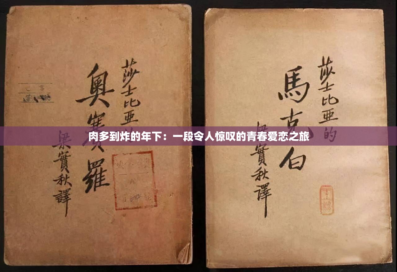 肉多到炸的年下：一段令人驚嘆的青春愛(ài)戀之旅