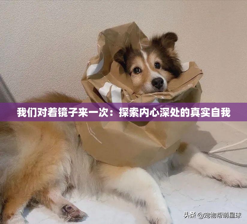 我們對著鏡子來一次：探索內(nèi)心深處的真實自我