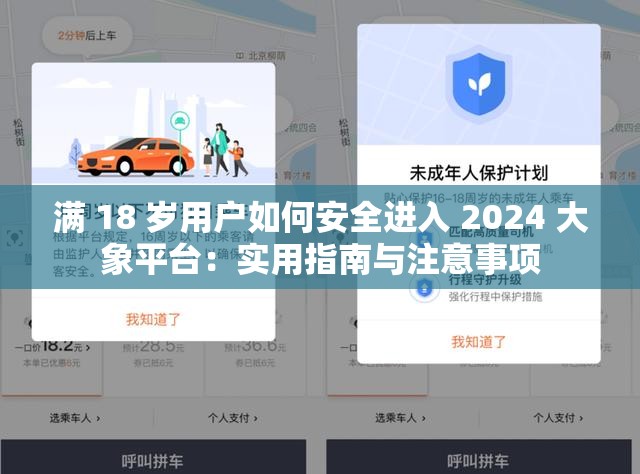 滿 18 歲用戶如何安全進(jìn)入 2024 大象平臺(tái)：實(shí)用指南與注意事項(xiàng)