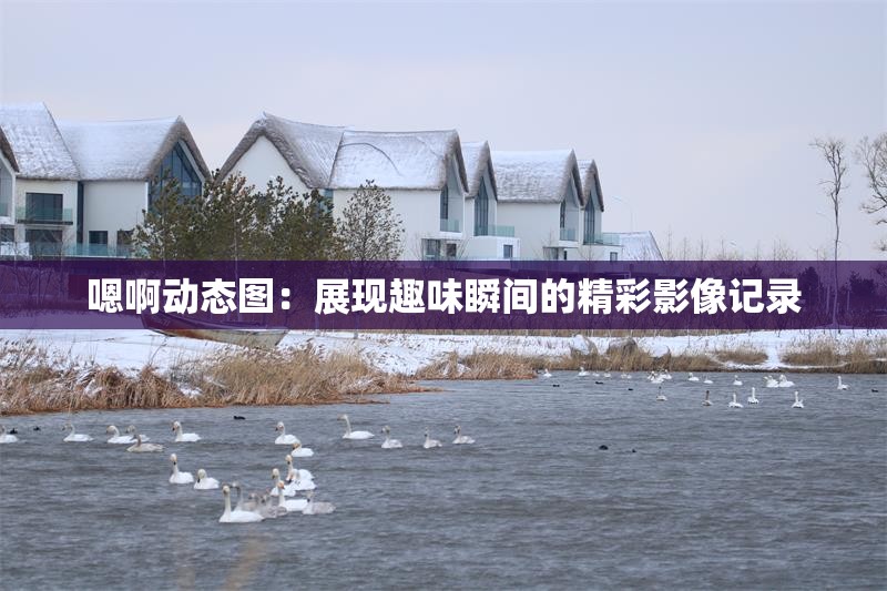 嗯啊動態(tài)圖：展現(xiàn)趣味瞬間的精彩影像記錄