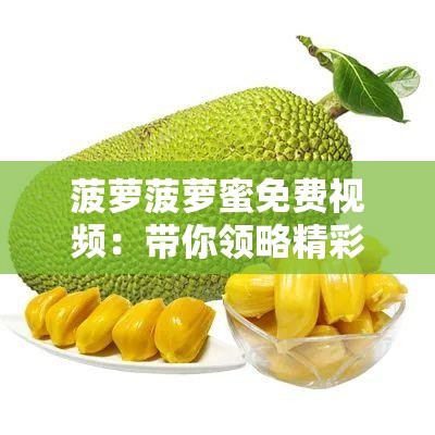 菠蘿菠蘿蜜免費(fèi)視頻：帶你領(lǐng)略精彩絕倫的視覺盛宴