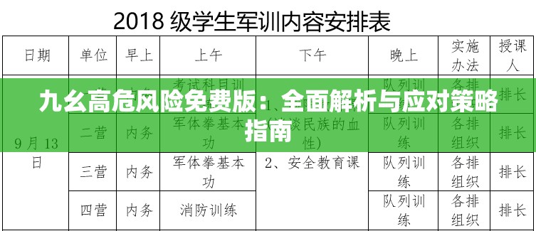 九幺高危風(fēng)險免費版：全面解析與應(yīng)對策略指南