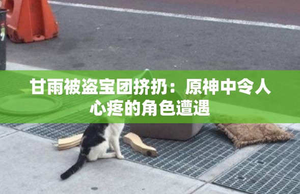 甘雨被盜寶團擠扔：原神中令人心疼的角色遭遇