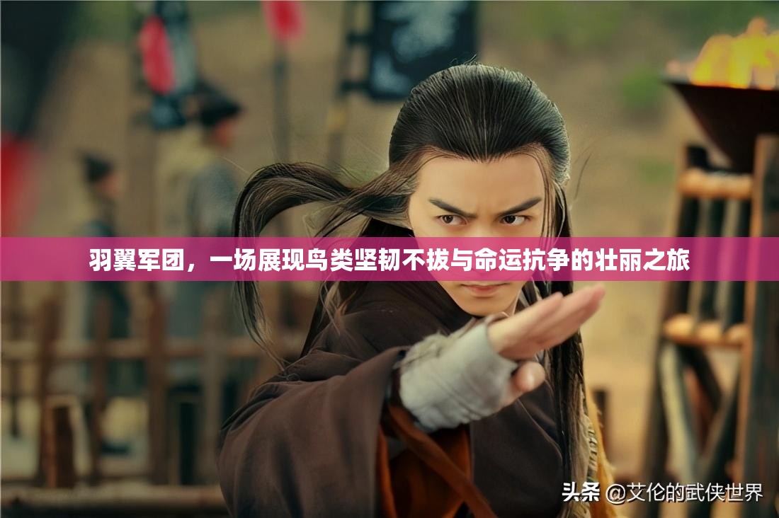 羽翼軍團，一場展現(xiàn)鳥類堅韌不拔與命運抗爭的壯麗之旅
