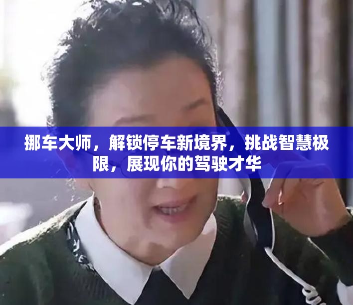 挪車大師，解鎖停車新境界，挑戰(zhàn)智慧極限，展現(xiàn)你的駕駛才華