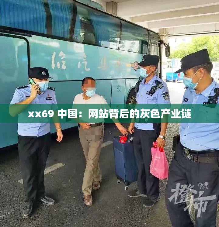xx69 中國：網(wǎng)站背后的灰色產(chǎn)業(yè)鏈