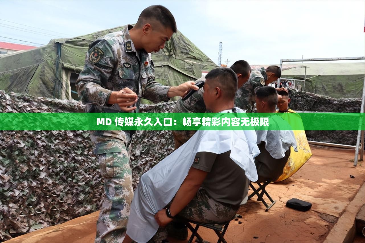 MD 傳媒永久入口：暢享精彩內(nèi)容無極限