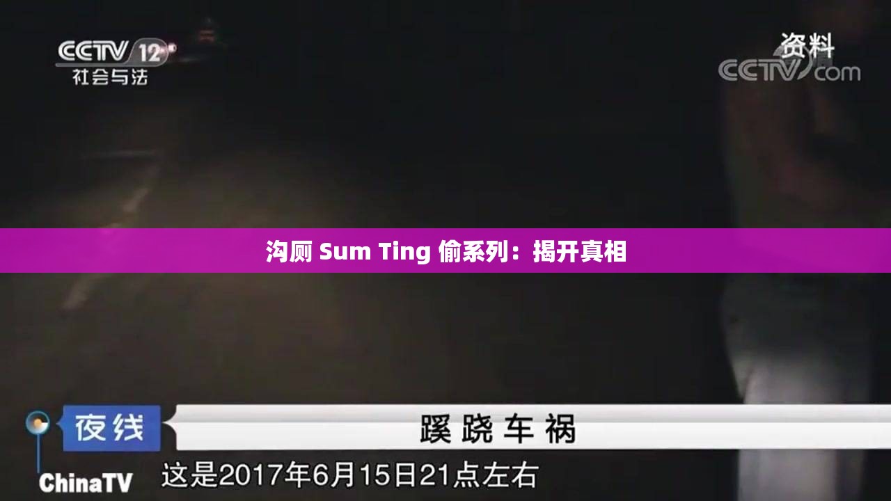 溝廁 Sum Ting 偷系列：揭開真相