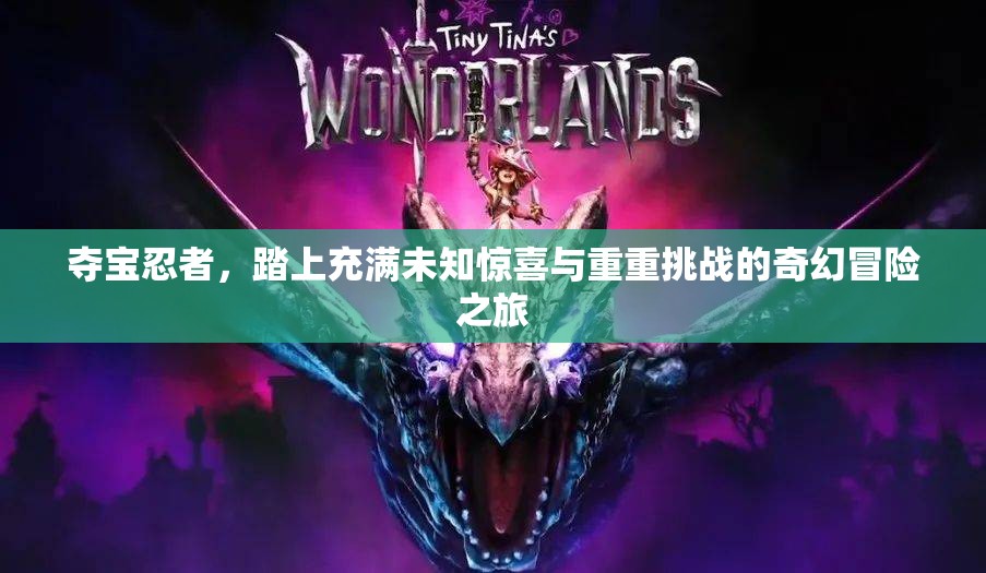 奪寶忍者，踏上充滿未知驚喜與重重挑戰(zhàn)的奇幻冒險(xiǎn)之旅