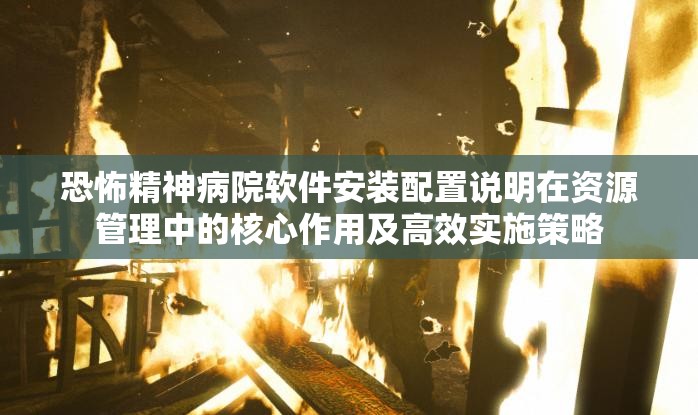 恐怖精神病院軟件安裝配置說(shuō)明在資源管理中的核心作用及高效實(shí)施策略