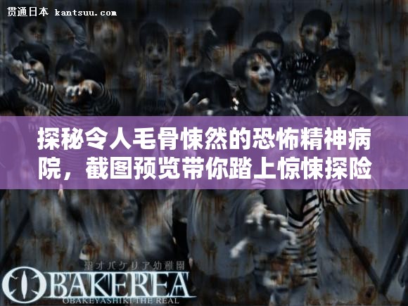 探秘令人毛骨悚然的恐怖精神病院，截圖預(yù)覽帶你踏上驚悚探險(xiǎn)之旅