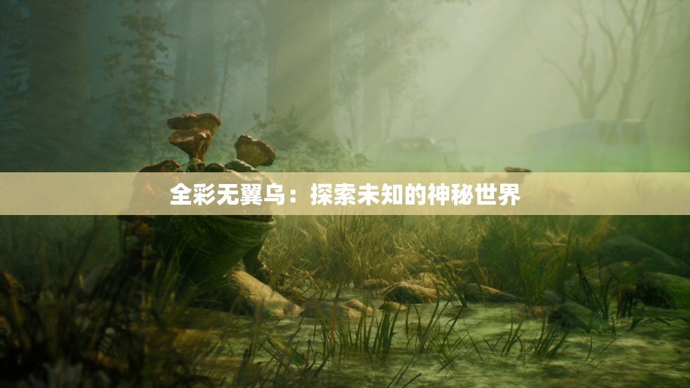 全彩無翼烏：探索未知的神秘世界