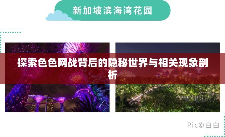 探索色色網(wǎng)戰(zhàn)背后的隱秘世界與相關(guān)現(xiàn)象剖析