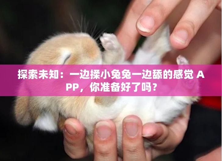 探索未知：一邊揉小兔兔一邊舔的感覺 APP，你準備好了嗎？