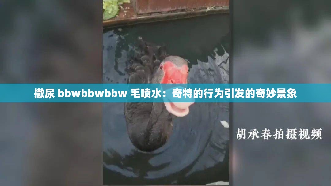 撒尿 bbwbbwbbw 毛噴水：奇特的行為引發(fā)的奇妙景象