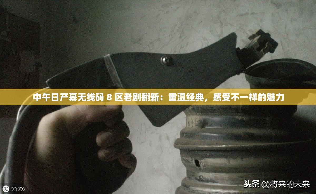 中午日產(chǎn)幕無線碼 8 區(qū)老劇翻新：重溫經(jīng)典，感受不一樣的魅力