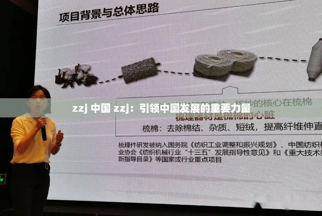 zzj 中國 zzj：引領(lǐng)中國發(fā)展的重要力量