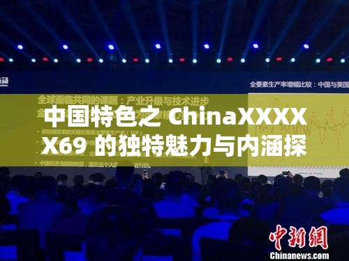 中國特色之 ChinaXXXXX69 的獨(dú)特魅力與內(nèi)涵探討