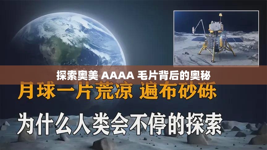 探索奧美 AAAA 毛片背后的奧秘