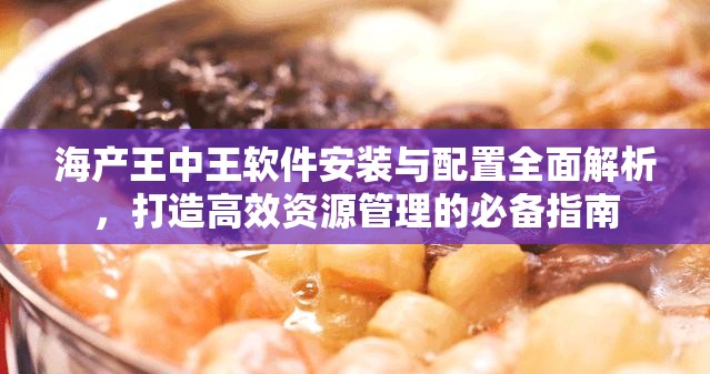 海產(chǎn)王中王軟件安裝與配置全面解析，打造高效資源管理的必備指南