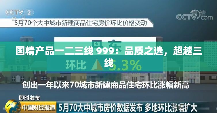 國精產(chǎn)品一二三線 999：品質(zhì)之選，超越三線