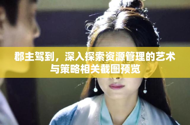 郡主駕到，深入探索資源管理的藝術與策略相關截圖預覽