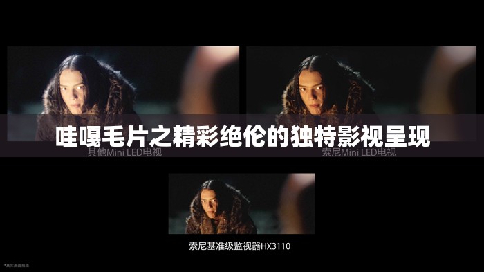 哇嘎毛片之精彩絕倫的獨特影視呈現(xiàn)